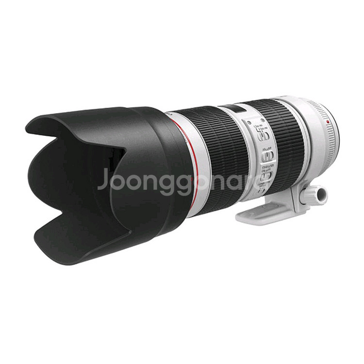 (새상품)캐논 EF 70-200mm 새새아빠 백통--0