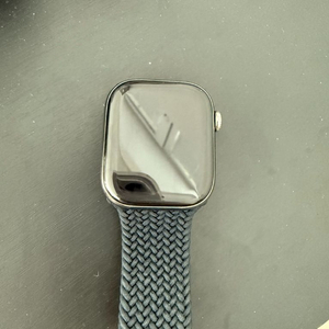 애플워치 10 내츄럴티타늄 + 셀률러 42mm