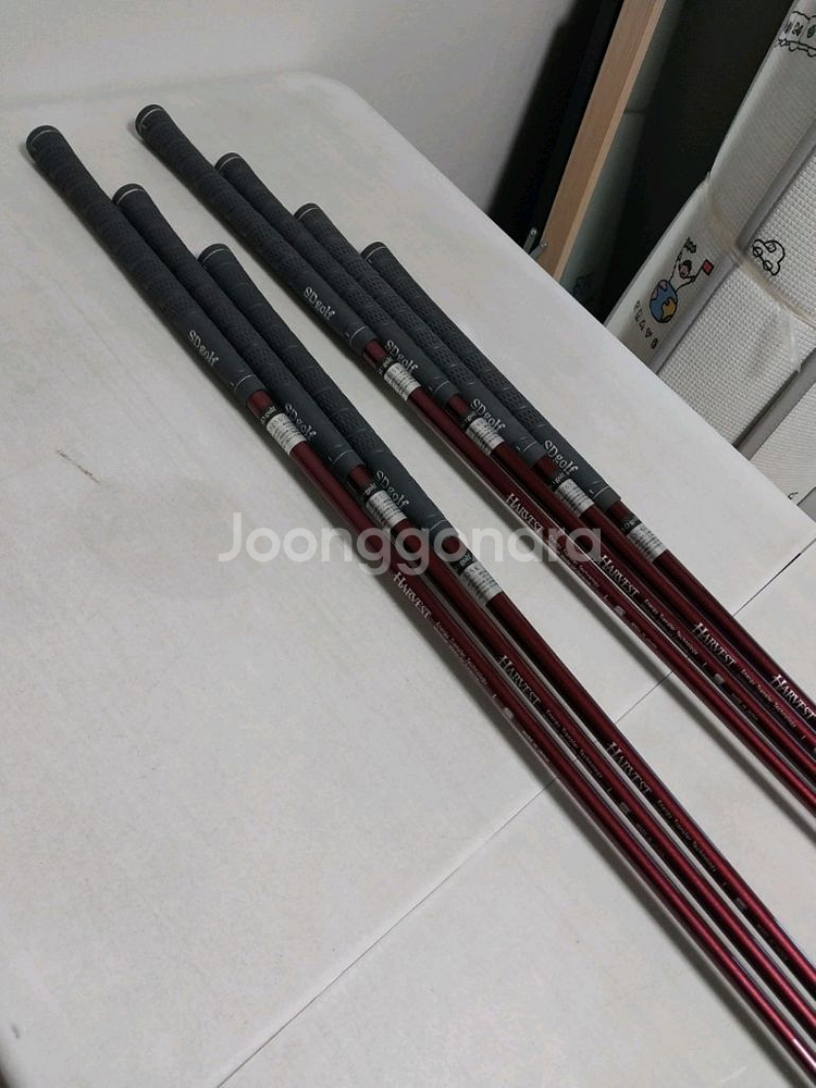 SD골프 하베스트 여성용 아연세트(7개)--4