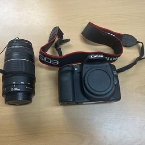 캐논 50d+ ef 75-300mm 망원 렌즈
