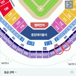 19(토) 기아엔씨전 EV석 정가 양도 14,000