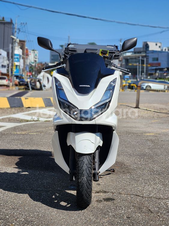 21년식/pcx125/풀배달세팅최상매물팝니다--1