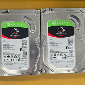 씨게이트 IronWolf 2TB HDD