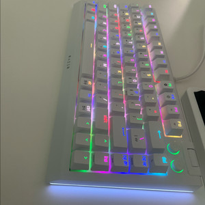 RAZER Blackwidow V4 75%+옐로우스위치