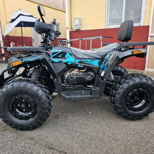 타오 ATV 타이탄 250cc