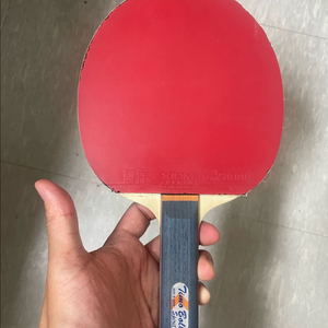 Xiom 티모볼 탁구채