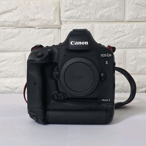 캐논 1DX M II