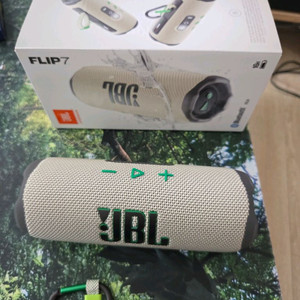 JBL FLIP7 샌드색상