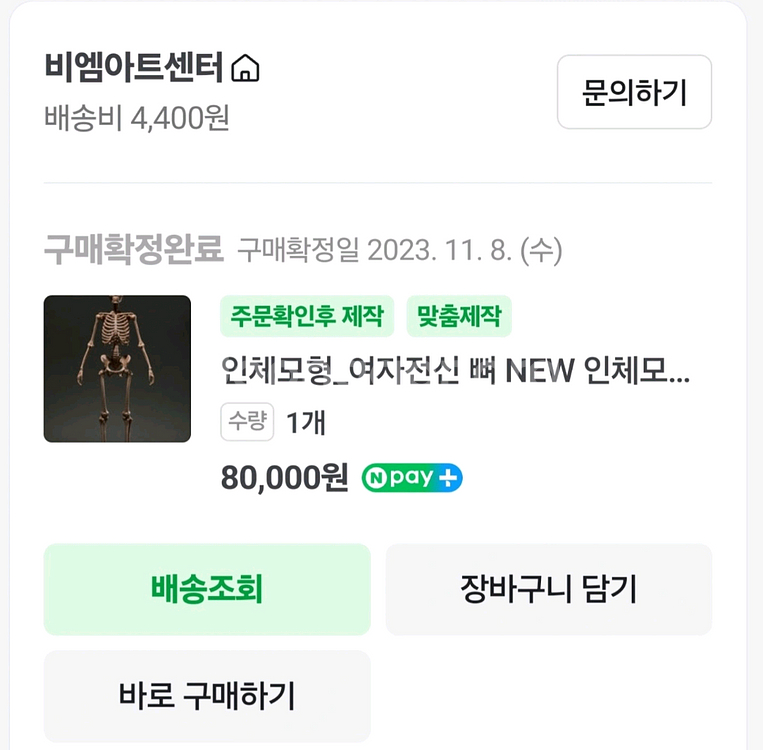 인체모형 뼈/아나토미 피규어/인체조형 해부학/3D피규어--8