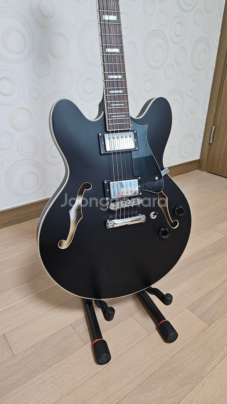헥스 Q300 일렉기타 판매합니다--0