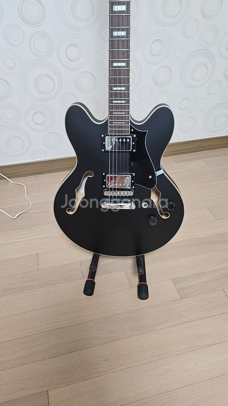 헥스 Q300 일렉기타 판매합니다--2