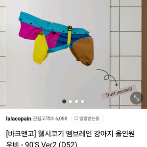 바크앤고) 대형견우비 c60