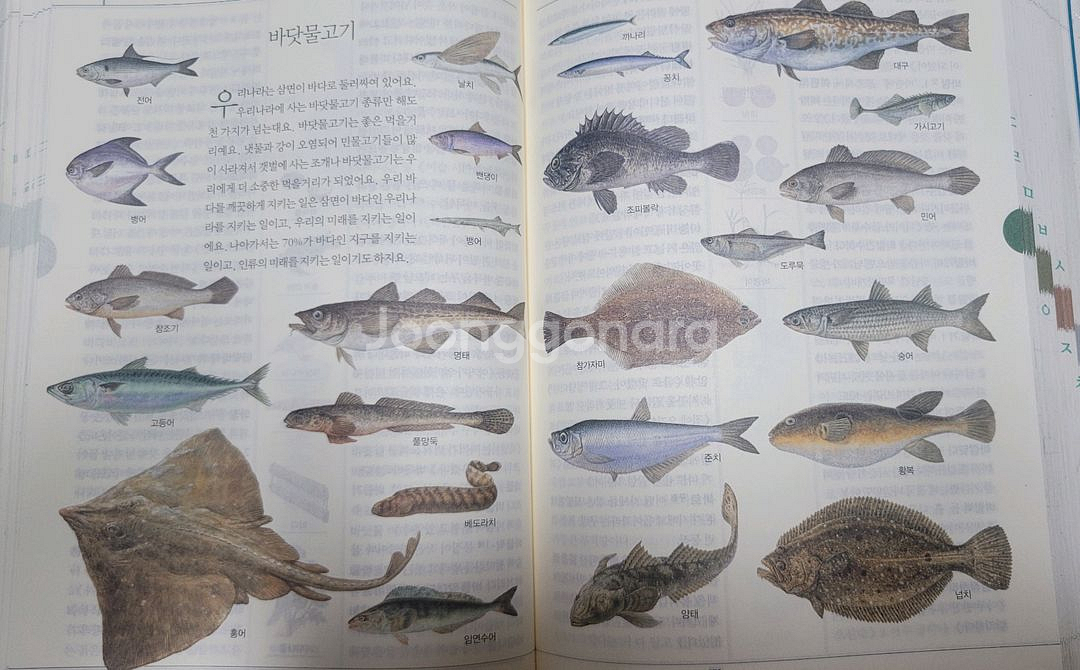 보리국어사전--5