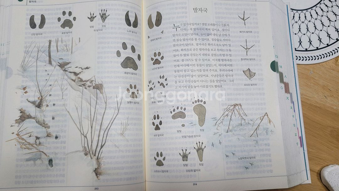 보리국어사전--4