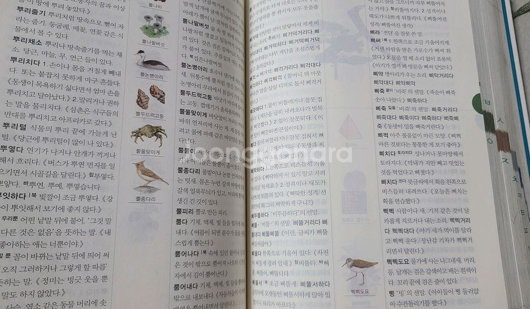 보리국어사전--7