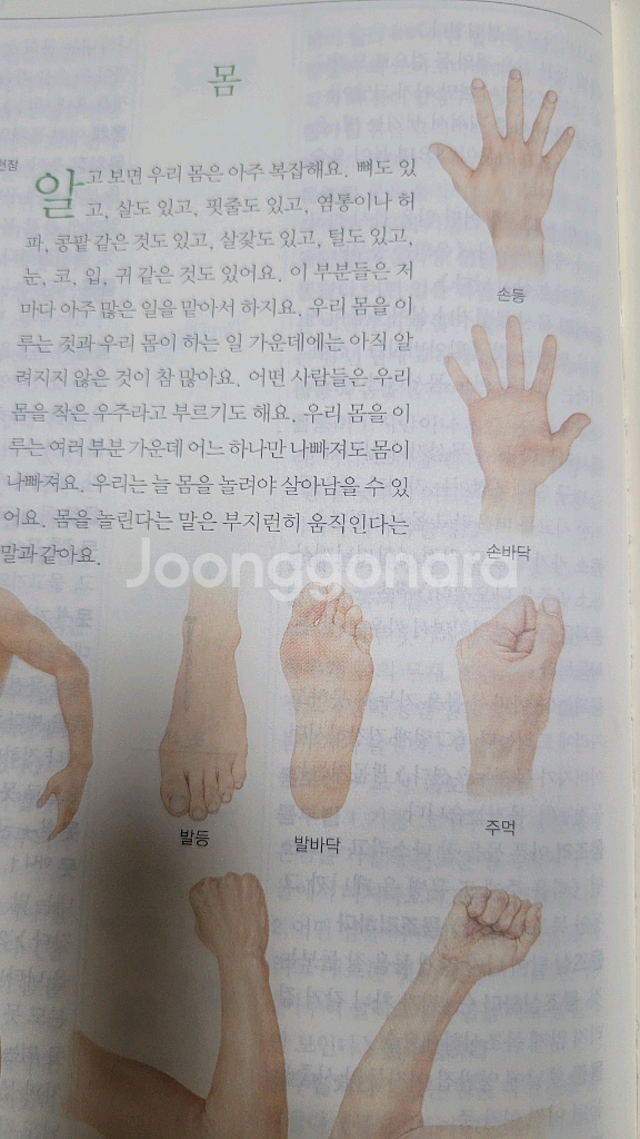 보리국어사전--6