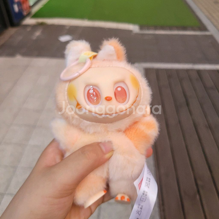 라부부--3