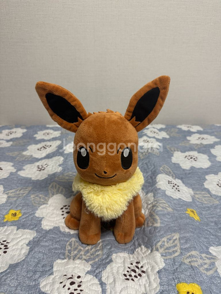포켓몬스터 이브이 25cm 정품인형--0