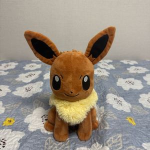 포켓몬스터 이브이 25cm 정품인형