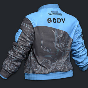 배그 godv 자켓 스킨 코드