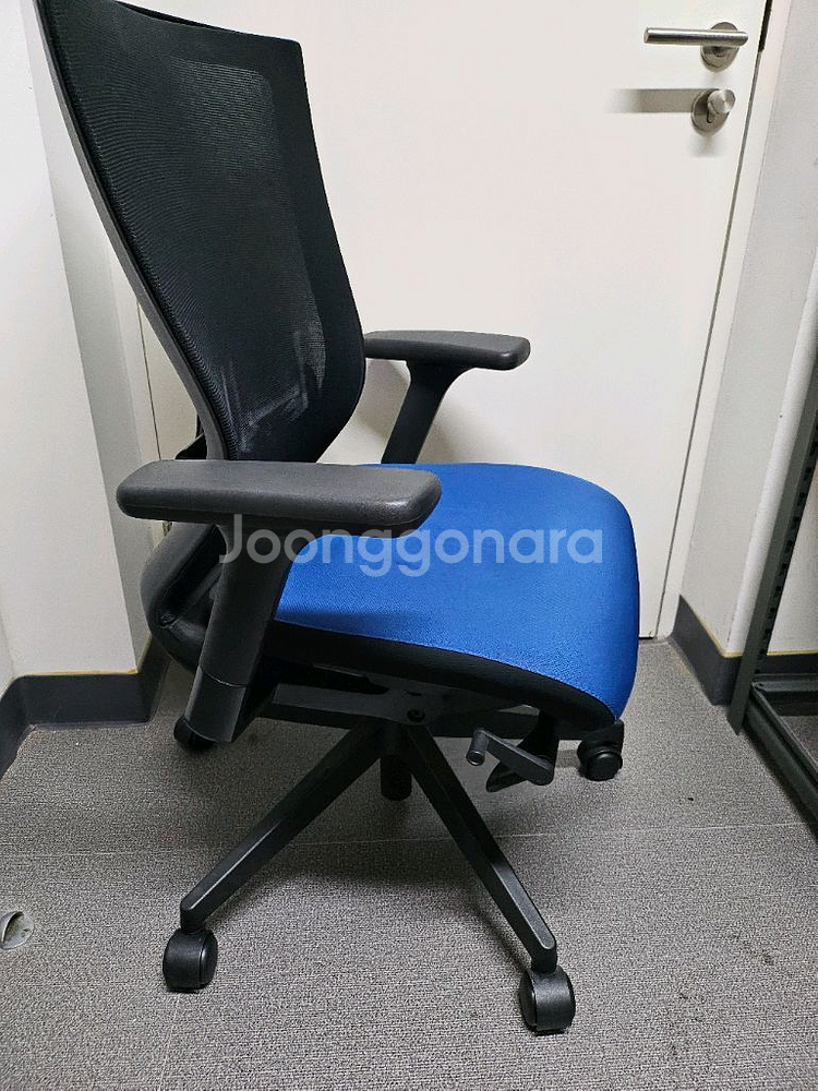 시디즈 T50 메쉬 의자 블루 색상--2