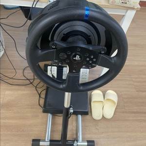 트러스트마스터 t300