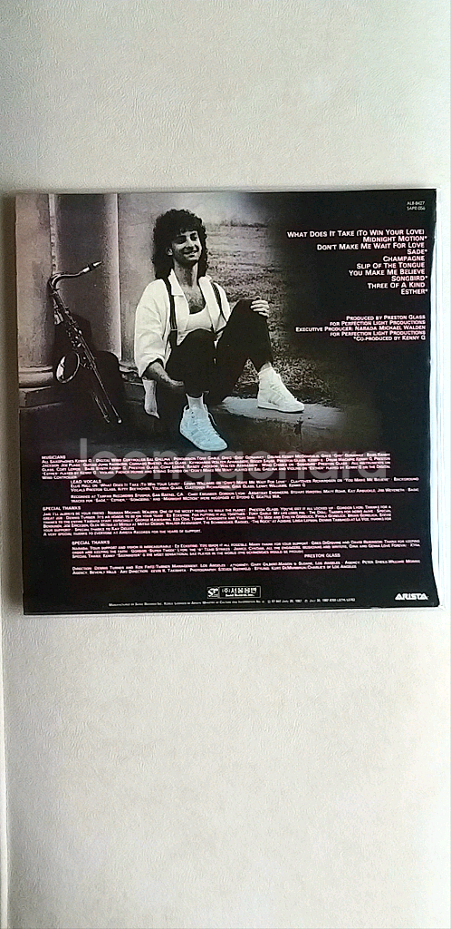 [LP] KENNY G DUOTONES 바이닐(87년)--1