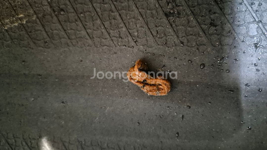 중고 타이어 215 45 17 오페라골드(구마제스티)--5