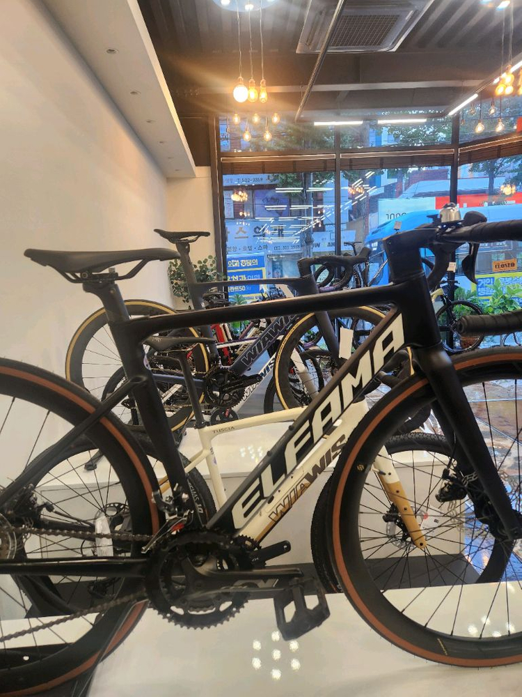 엘파마 로드너 젠 2--3