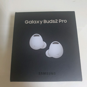 버즈 프로2