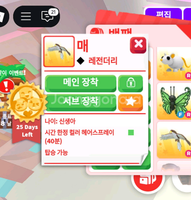 입양하세요 잡능 사가세요~--2