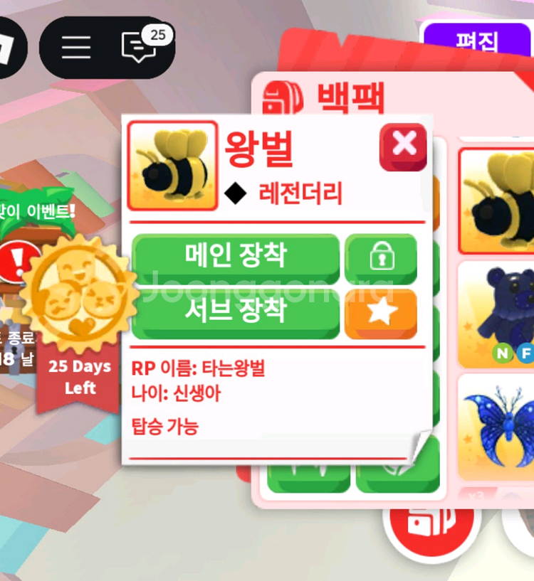 입양하세요 잡능 사가세요~--0