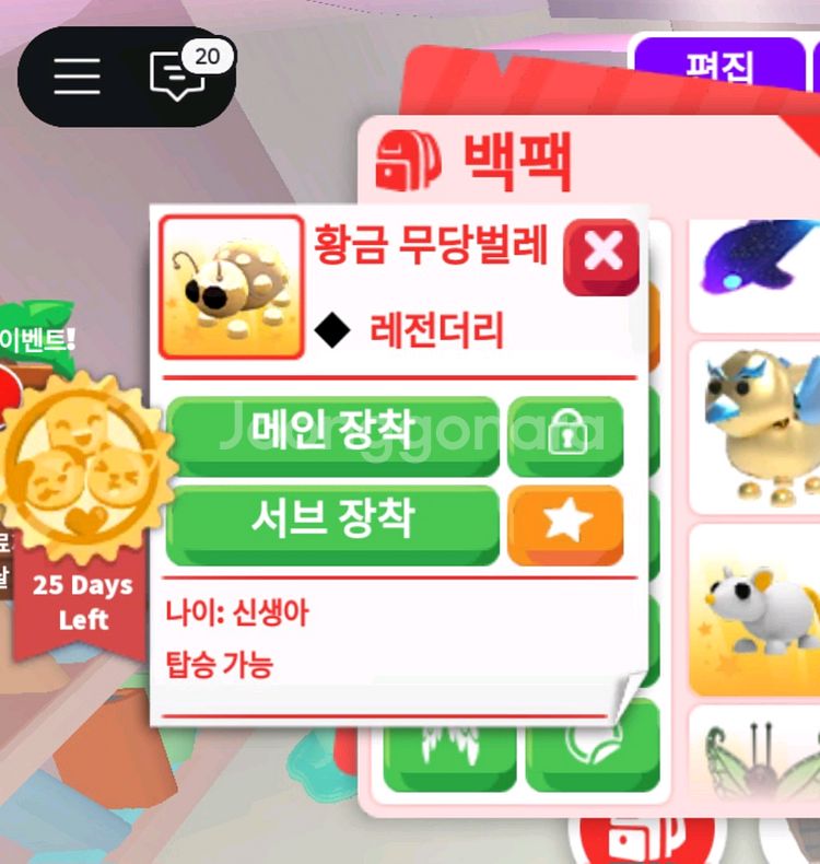 입양하세요 잡능 사가세요~--3