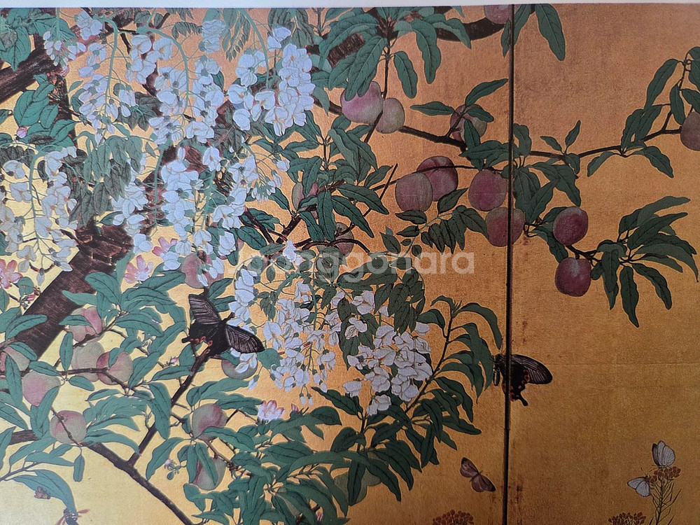 일본 화조화 6권--1
