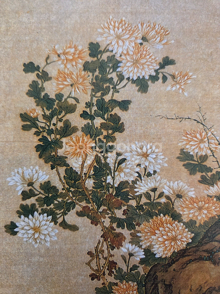 일본 화조화 6권--4