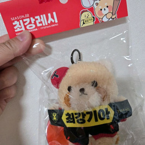 최강레시 기아 춘잠