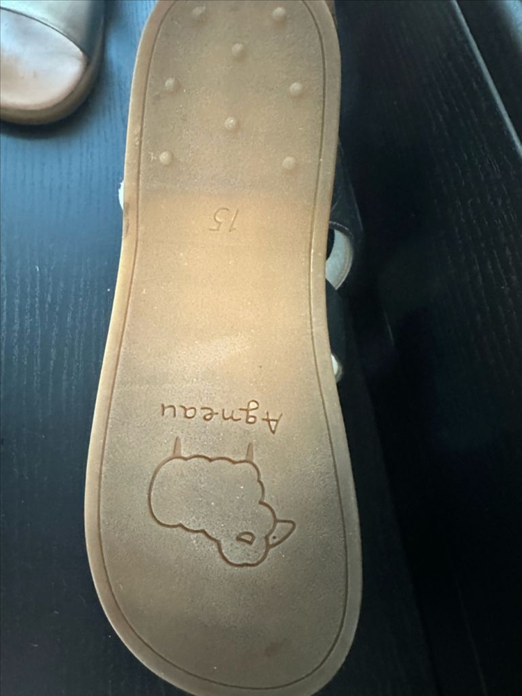 앙뉴 파파야 샌들 (샴페인 골드) 이미지