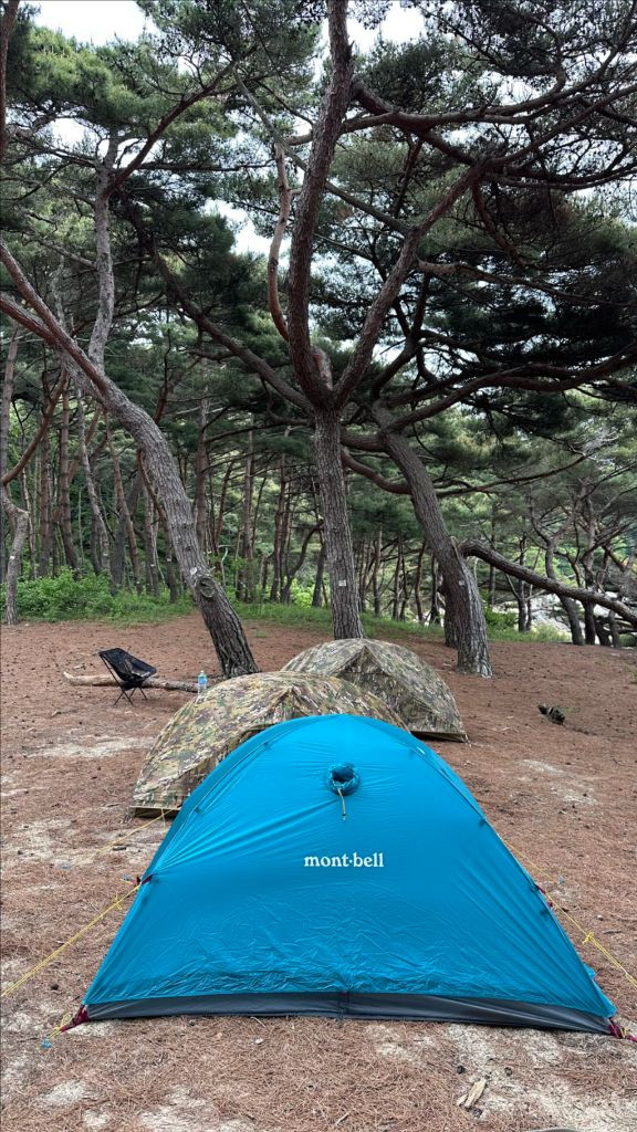 몽벨 스텔라릿지2 완세트 48.0--1