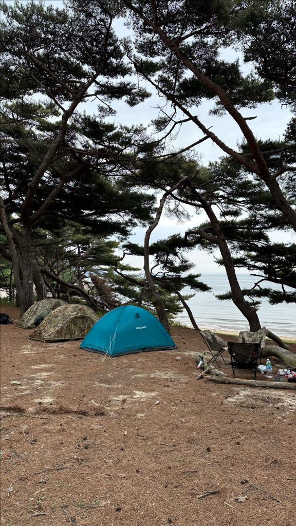 몽벨 스텔라릿지2 완세트 48.0--3