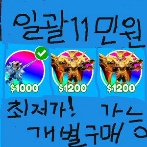 토타디 워로드 빙티 최저가