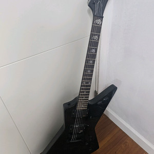 esp 커스텀 기타