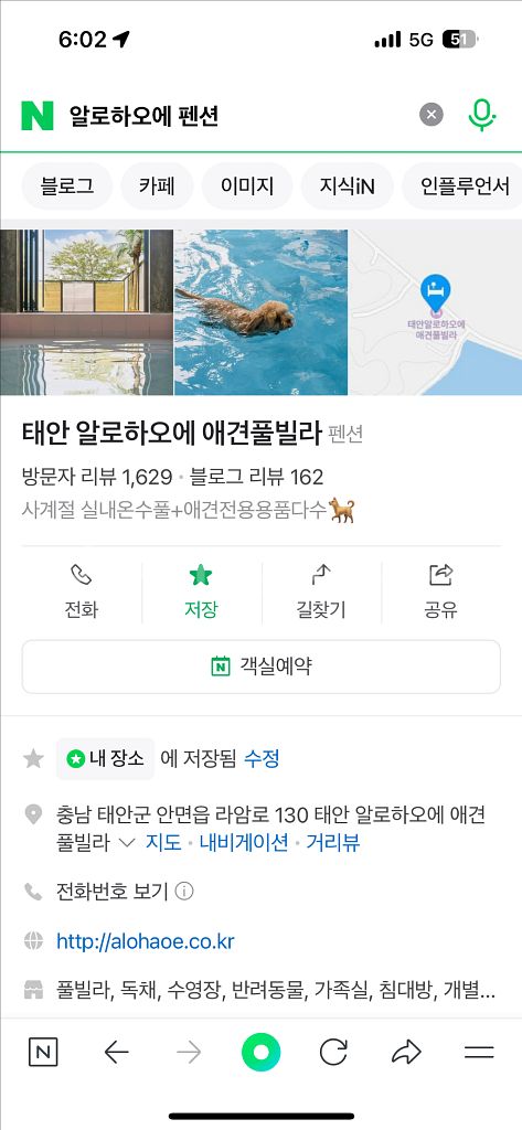 태안애견풀빌라 7/19 ~ 20--0