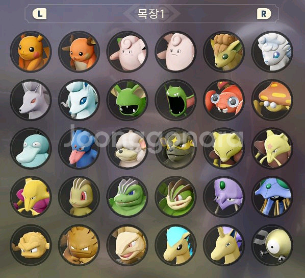 [레전드 아르세우스] 이로치, 우두머리 포켓몬등 분양--0