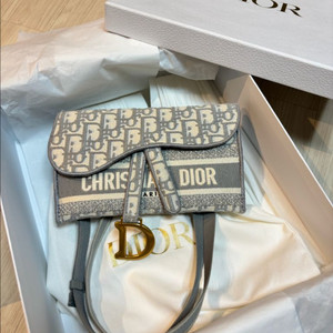 디올 오블리크 새들백