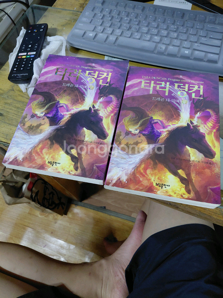 판타지책 판매--1