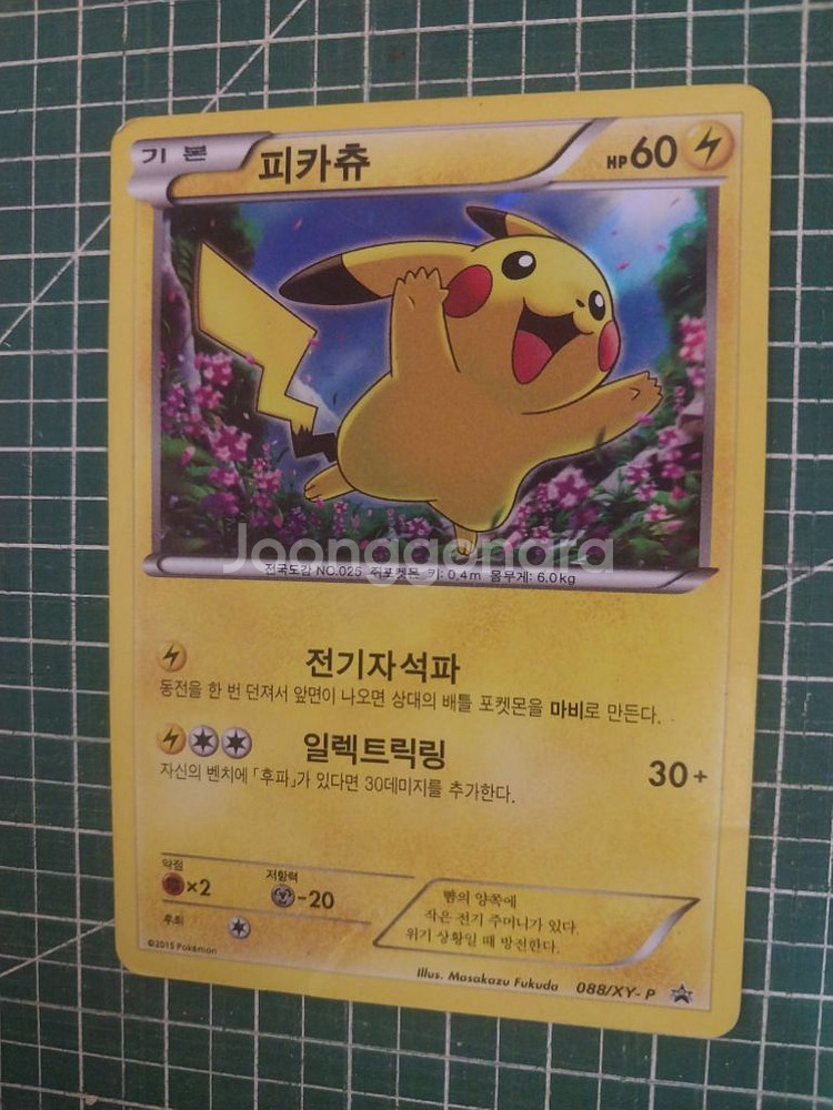 포켓몬카드 피카츄 XY 프로모--0
