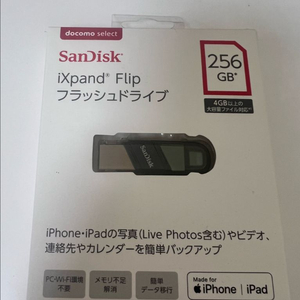 샌디스크 iXpand i90 256GB