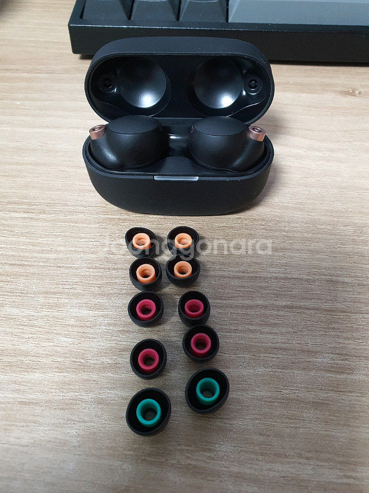 소니 WF-1000XM4--0