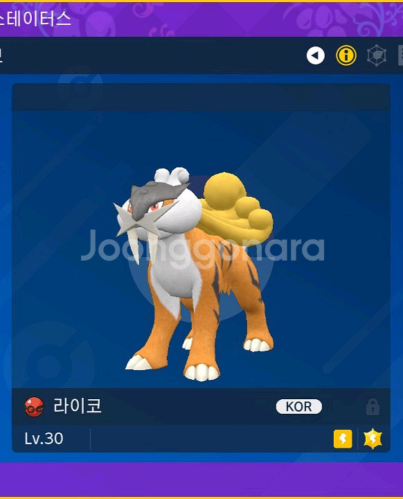 이로치 라이코 (배포) | 포켓몬 분양--0