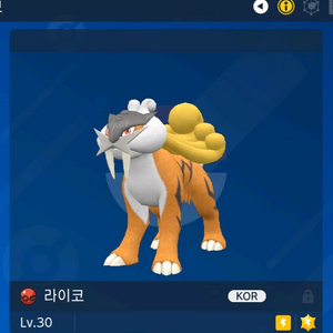 이로치 라이코 (배포) | 포켓몬 분양